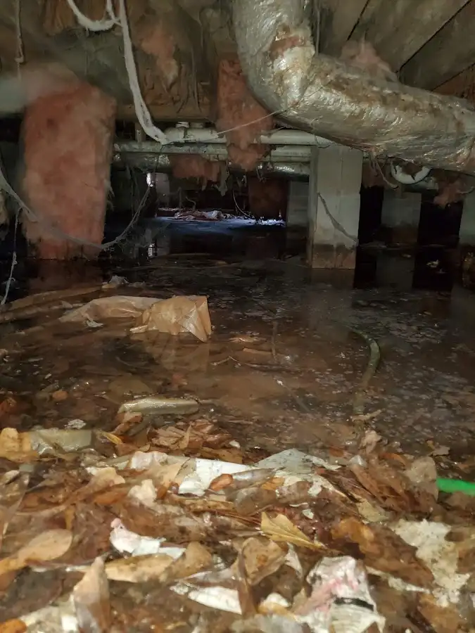 Crawl space flood assessment for Leak Detection & Repair in St. Joseph